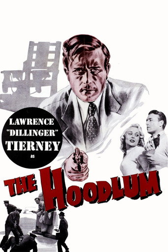 The Hoodlum 在线观看和下载完整电影