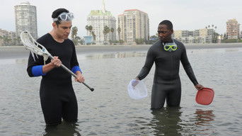 Quick Hardening Caulk