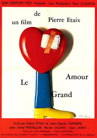 Okładka filmu Le Grand Amour