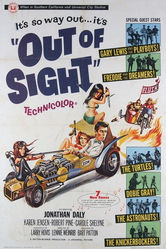 Out of Sight 在线观看和下载完整电影