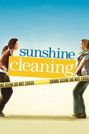 Sunshine Cleaning 在线观看和下载完整电影