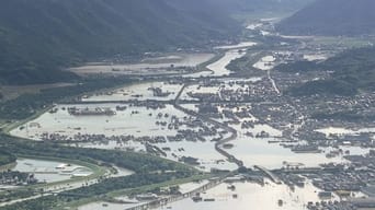 Home Flooding