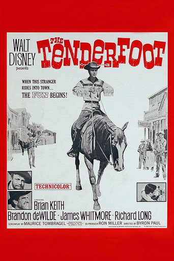 The Tenderfoot 在线观看和下载完整电影