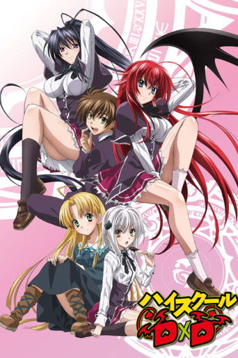 Okładka serialu High School DxD