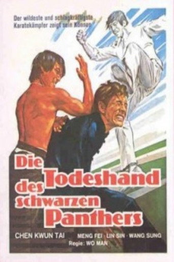 Okładka filmu 佈局