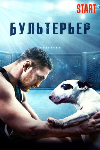 Okładka filmu Бультерьер