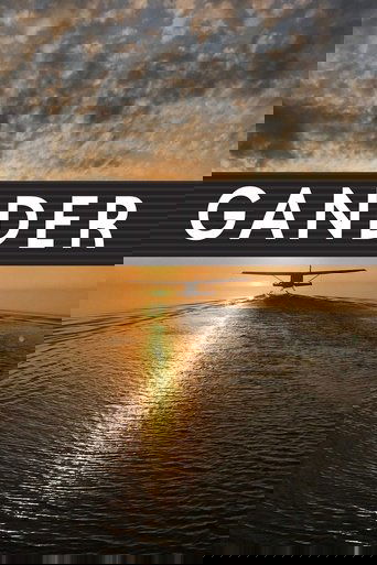 Gander International: The Airport in the Middle of Nowhere