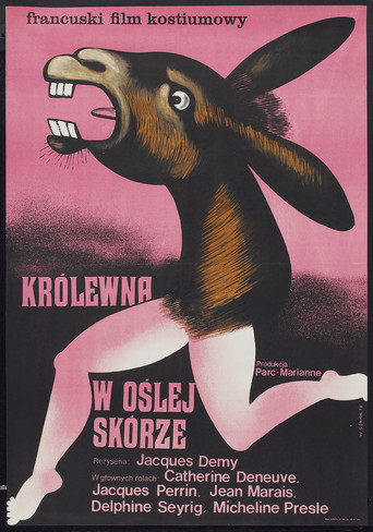 Okładka filmu Królewna w oślej skórze