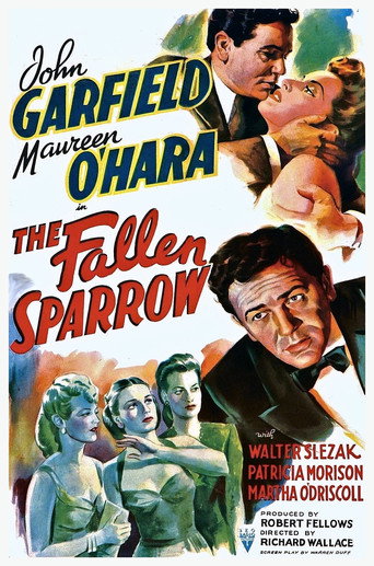 The Fallen Sparrow 在线观看和下载完整电影
