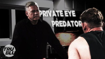 Blount County, AL: Private Eye Predator
