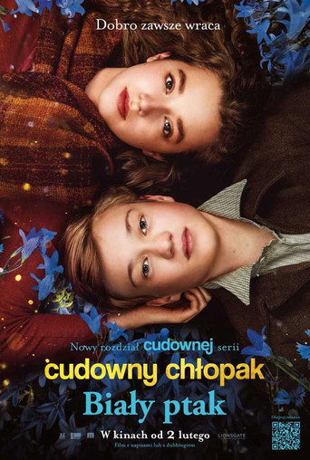 Okładka filmu Cudowny chłopak. Biały ptak