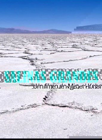 Salinas grandes