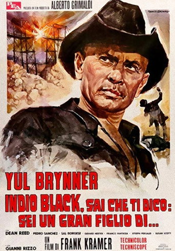 Okładka filmu Adios Sabata