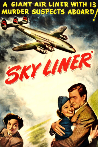 Sky Liner 在线观看和下载完整电影