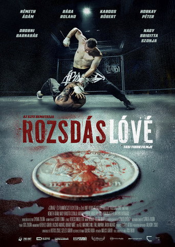 Okładka filmu Rozsdás Lóvé