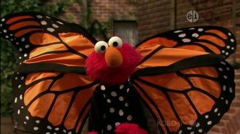 Elmo and the Butterfly episode still image