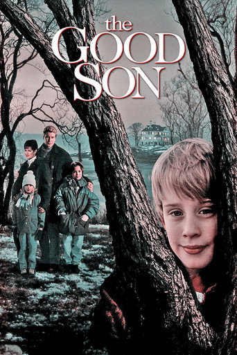 The Good Son 在线观看和下载完整电影