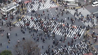 Shibuya: Spring Flowers and Bartering