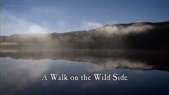 A Walk on the Wild Side