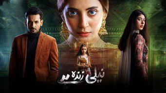 Neeli Zinda Hai poster