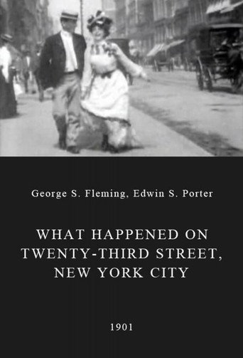 What Happened on Twenty-Third Street, New York City 在线观看和下载完整电影