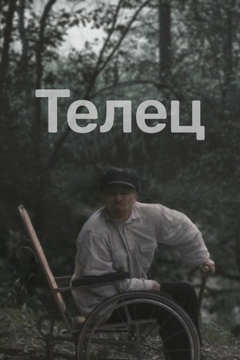Okładka filmu Cielec