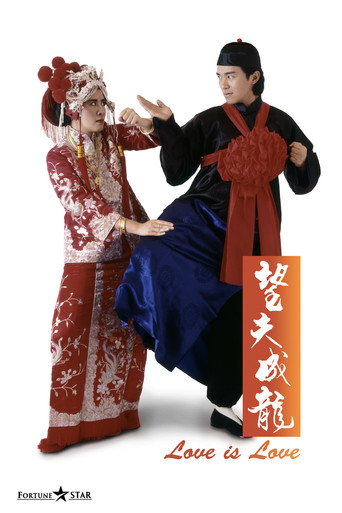望夫成龍 在线观看和下载完整电影