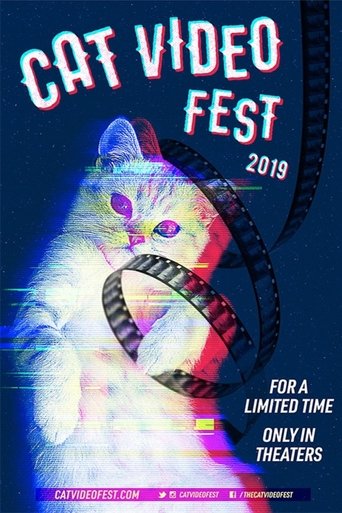 CatVideoFest 2019