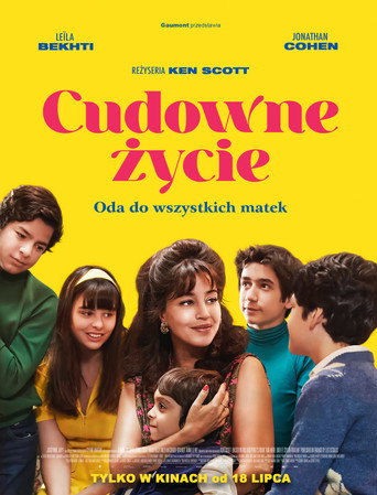 Okładka filmu Cudowne życie