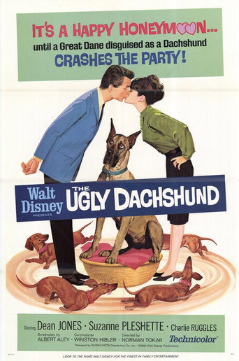 The Ugly Dachshund 在线观看和下载完整电影