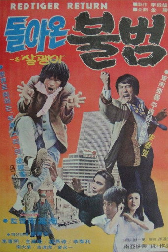 Okładka filmu 돌아온 불범