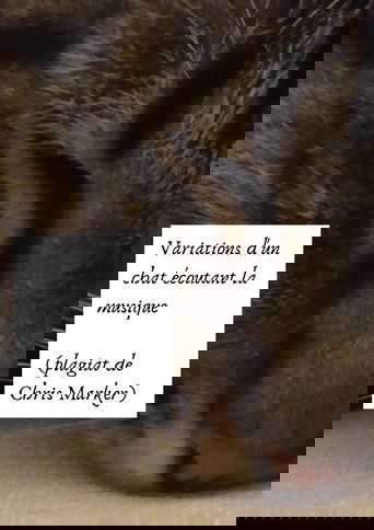 Variations of a cat listening to music (Chris Marker plagiarism)