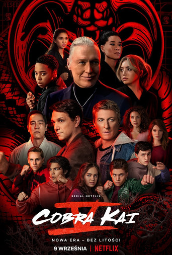 Okładka serialu Cobra Kai