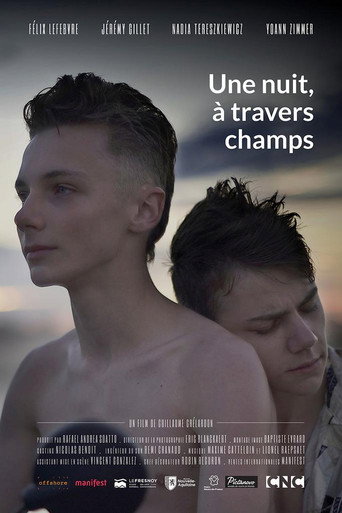 Une nuit, à travers champs 在线观看和下载完整电影