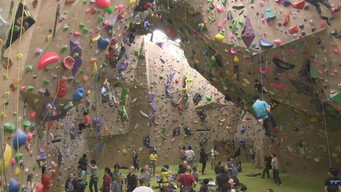 Climbing the Walls of Life