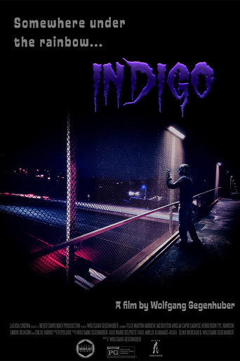 Okładka filmu Indigo