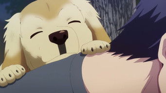 Please Be My Friend!