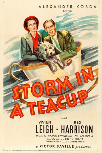 Storm in a Teacup 在线观看和下载完整电影