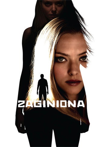 Okładka filmu Zaginiona