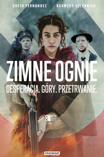 Okładka filmu Zimne ognie
