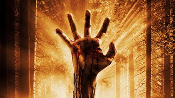 Wake Wood (2011)