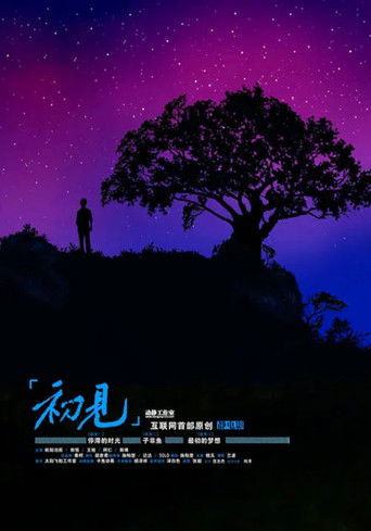 初见: 停滞的时光 poster