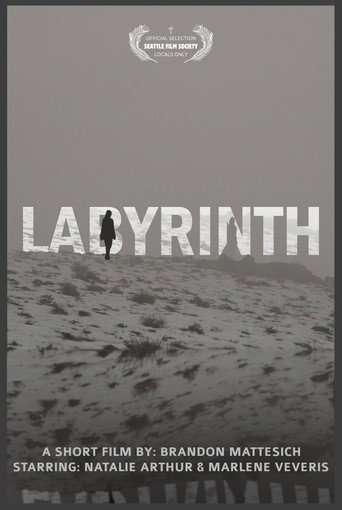 Labyrinth