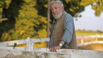 Galeria 5 - Corazones sin riendas