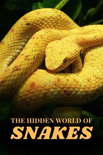 The Hidden World of Snakes (2026)
