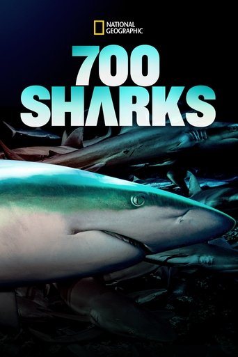 700 Sharks (2018)