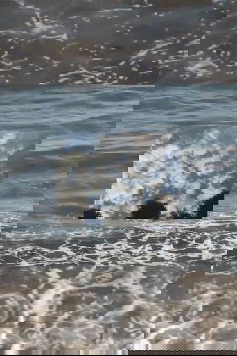 waterfilm