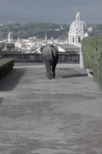 Metodo dei Loci (2019)