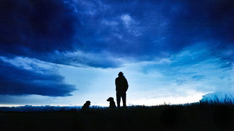 The Thick Dark Fog (2011)
