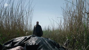 Episode 8 — Episode 8